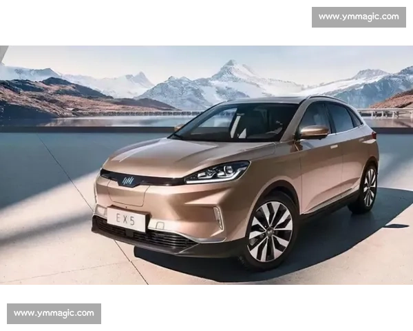 榜首易主引发格局重塑新势力强势登顶引关注赛季走势全面改写风云 榜首易主引发格局重塑新势力强势登顶引关注赛季走势全面改写风云